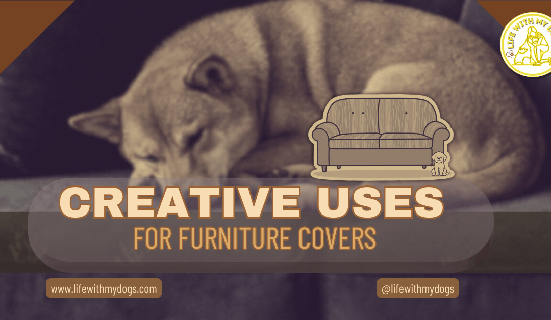 Creative Uses for Furniture Covers