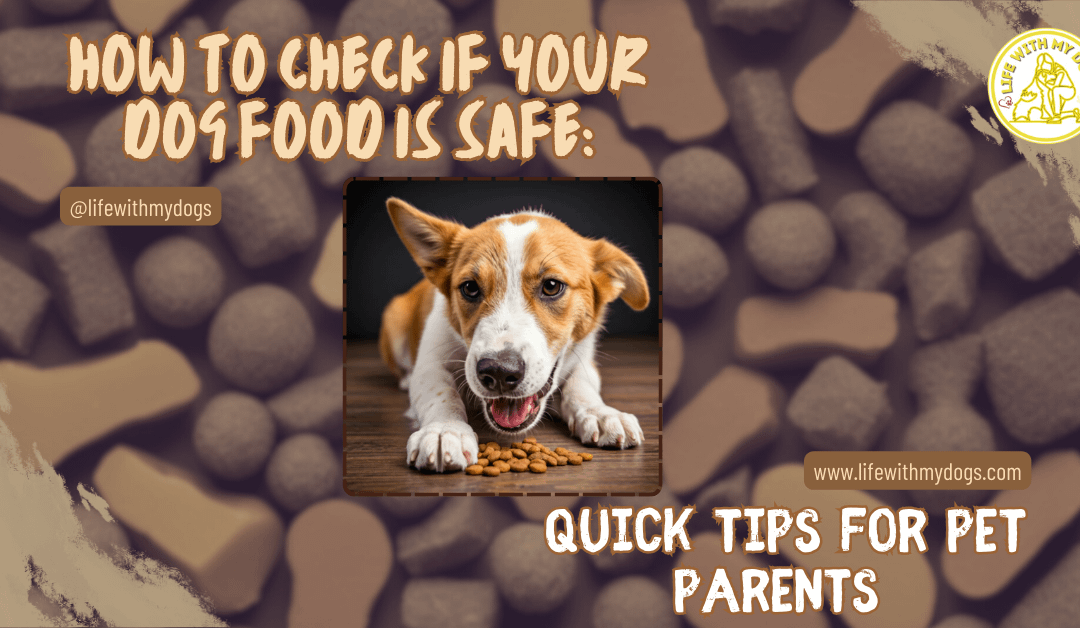 How to Check if Your Dog Food is Safe: Quick Tips for Pet Parents