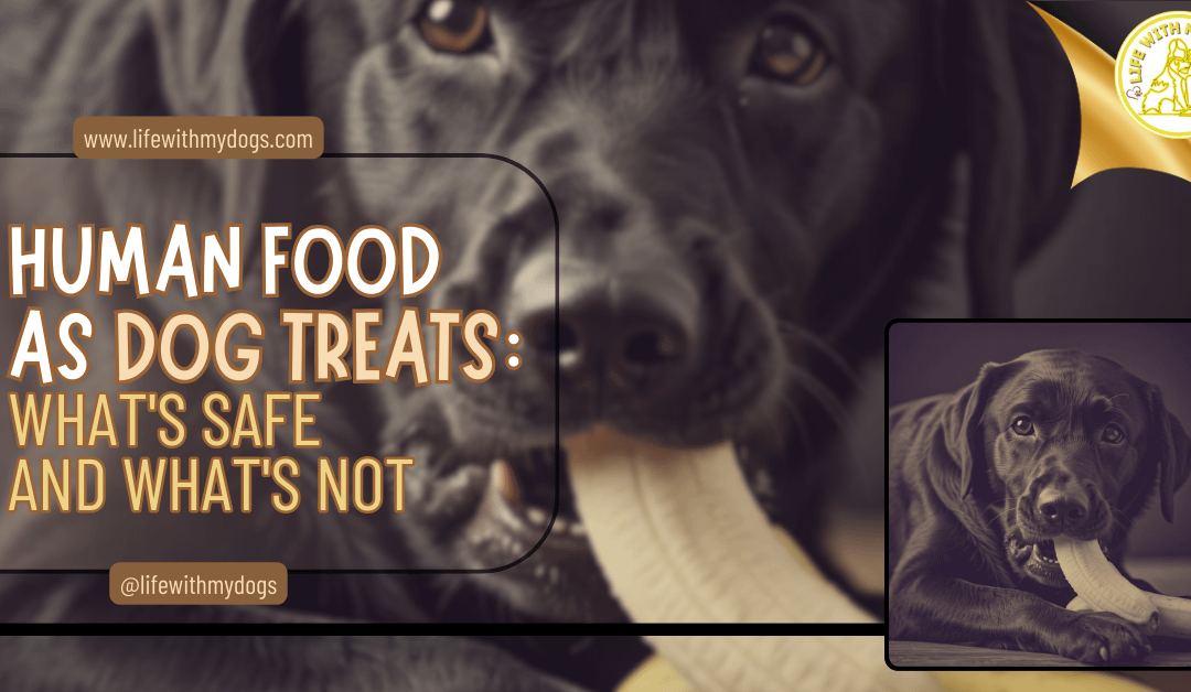 Human Food as Dog Treats: What’s Safe and What’s Not