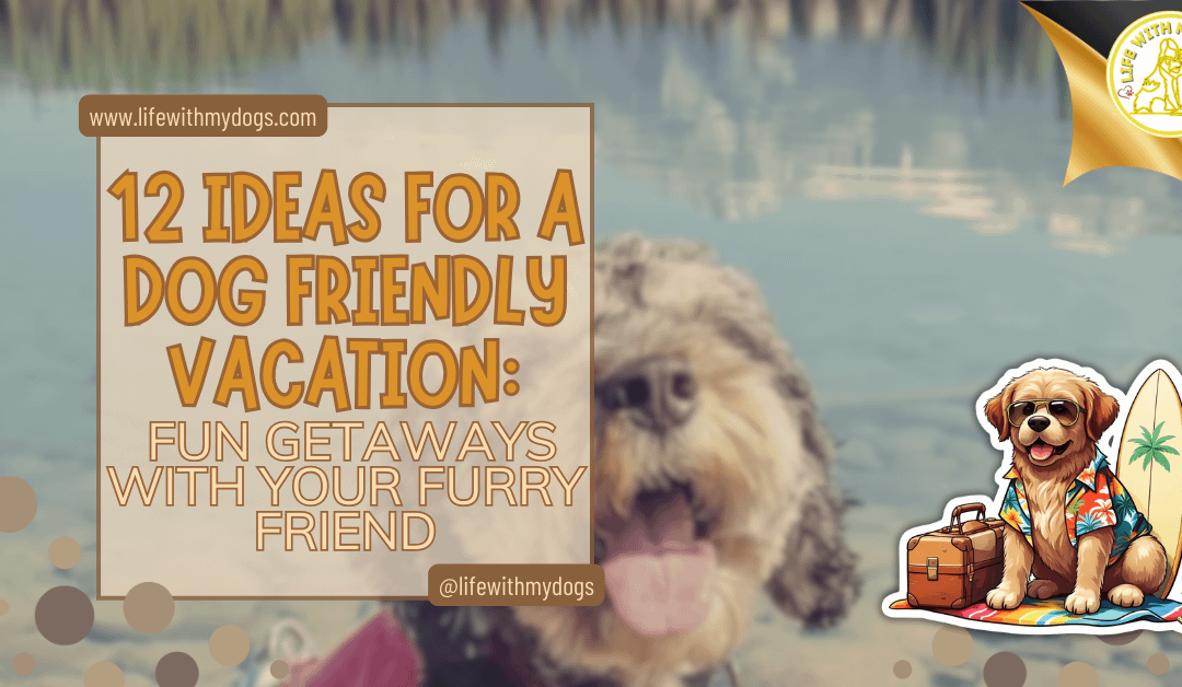 12 Ideas For A Dog Friendly Vacation: Fun Getaways With Your Furry Friend