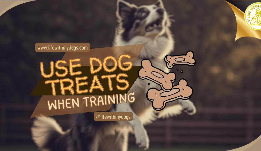 Use Dog Treats When Training