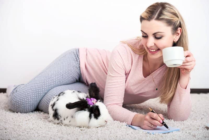 Things New Rabbit Owners Need to Know