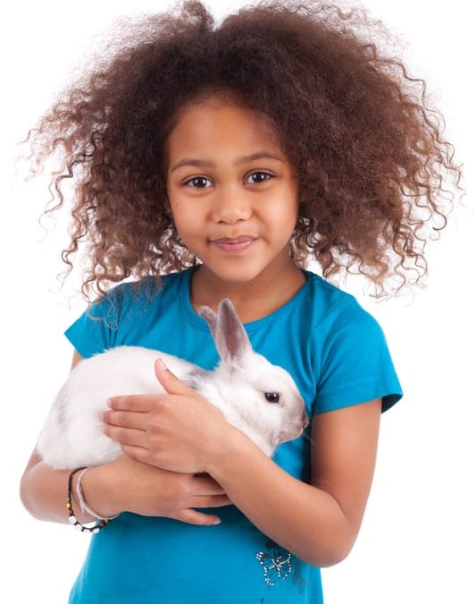 Kid holding an indoor pet rabbit