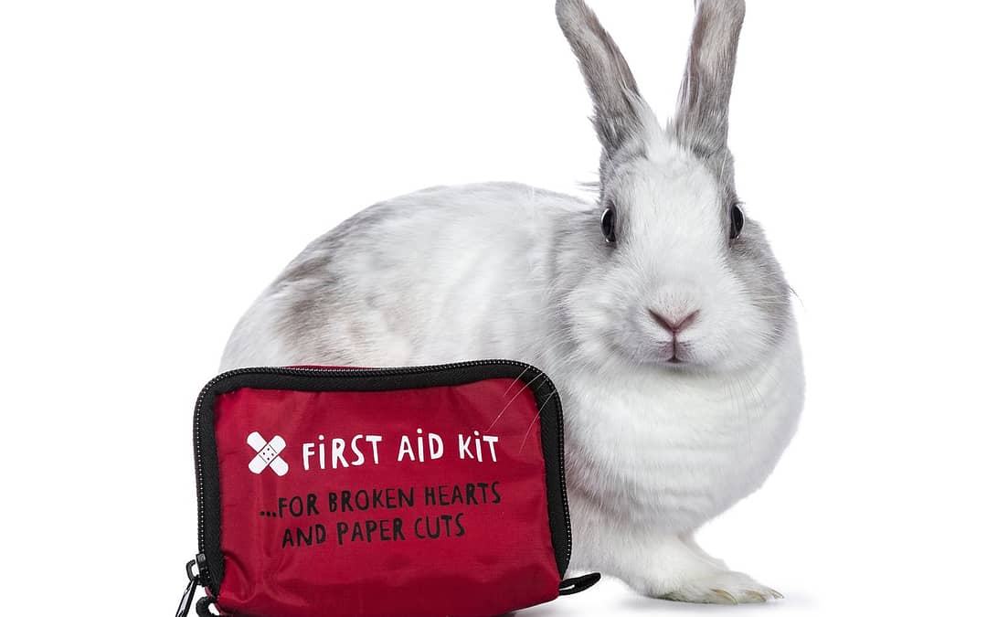 Rabbit first aid kit