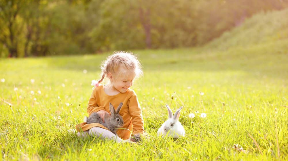 A girl with her pet rabbit