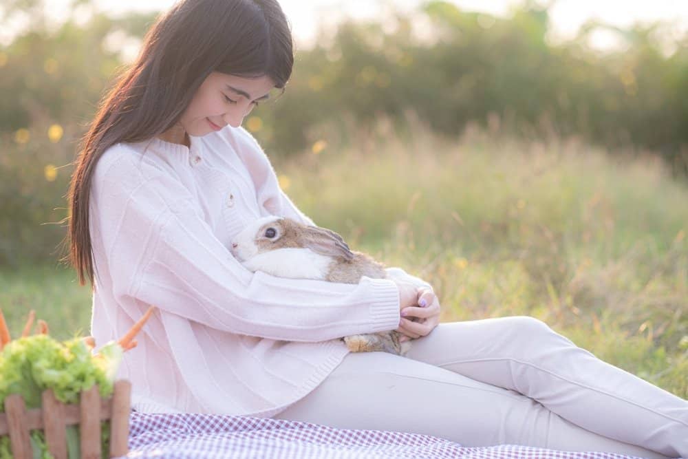 Calm Rabbit Breeds Make Great Pets!