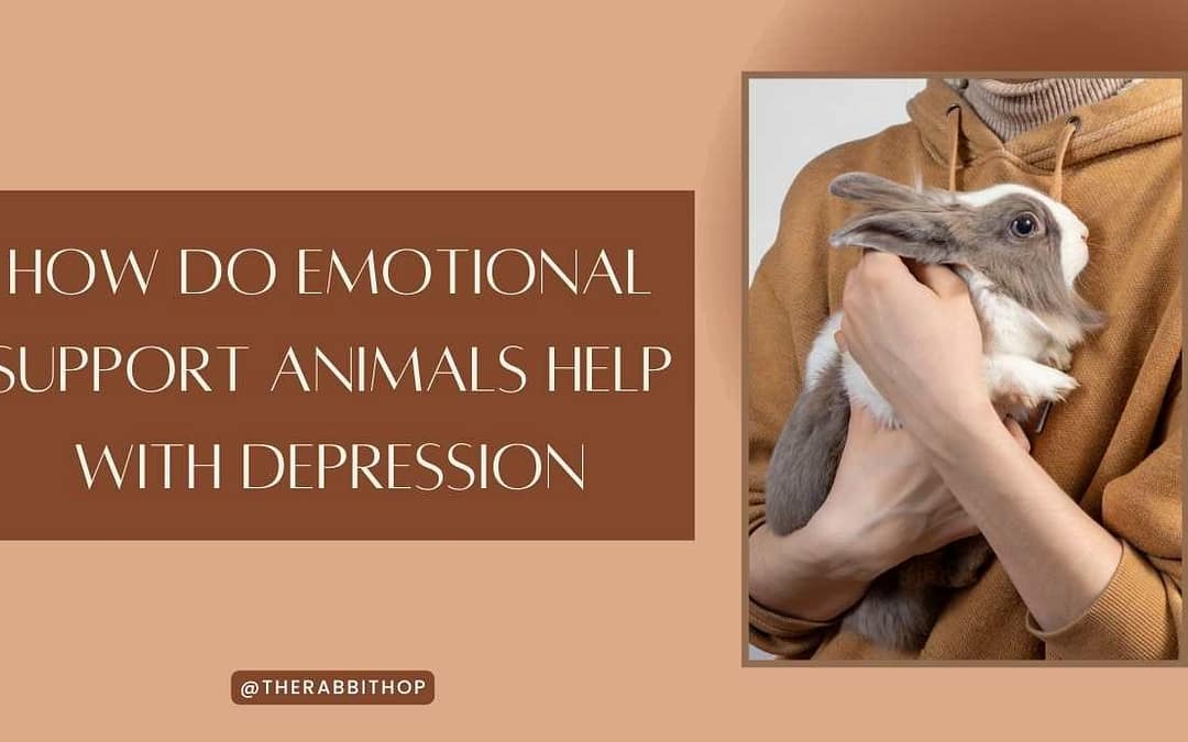 Title-How Do Emotional Support Animals Help With Depression