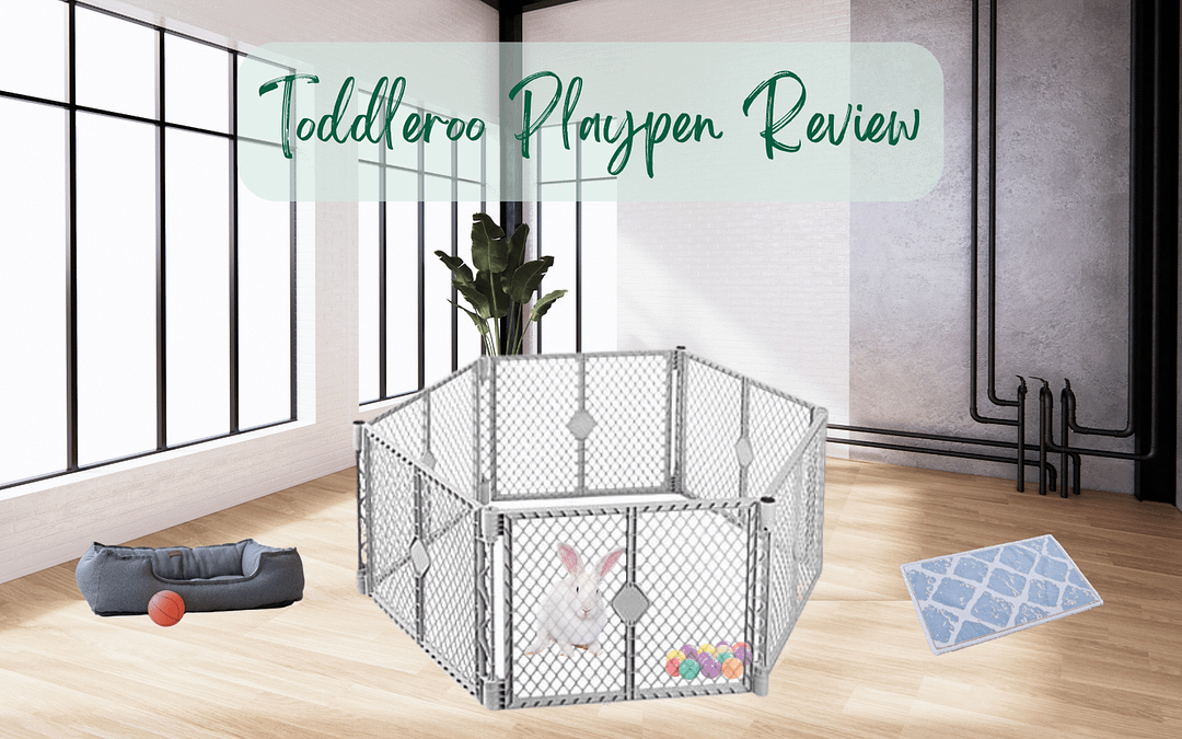 Title-Toddleroo Playpen Review