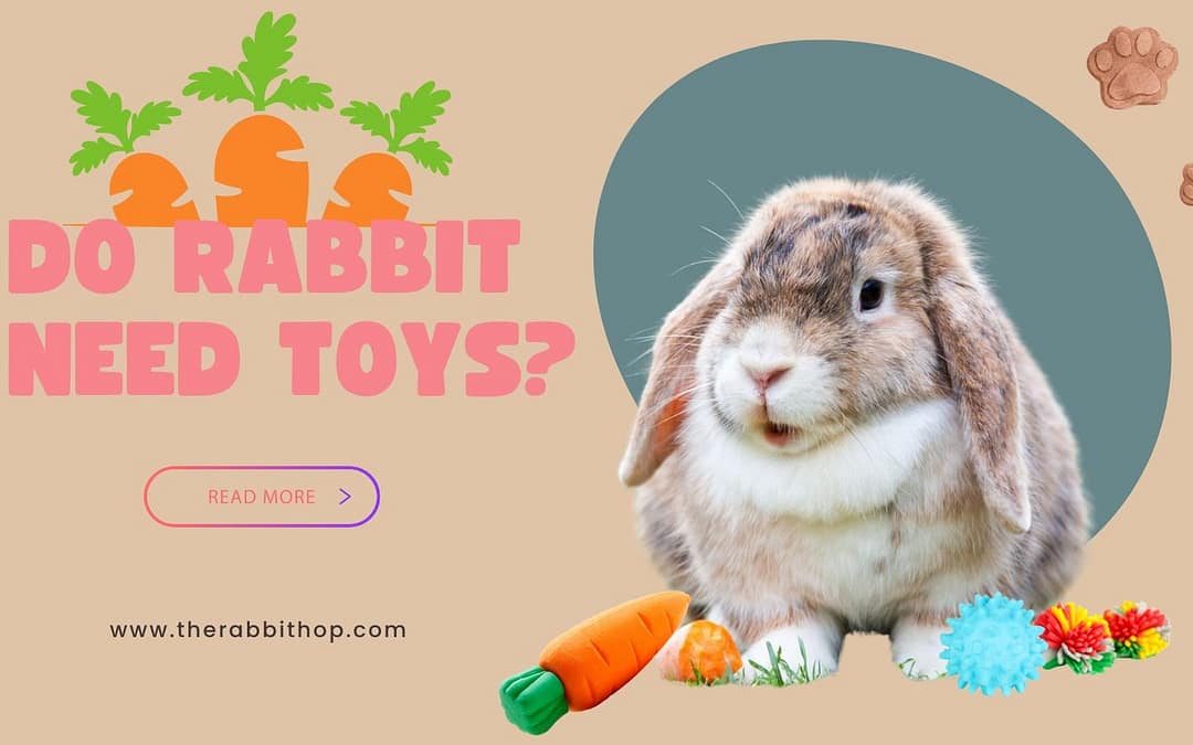 Do Rabbits Need Toys?