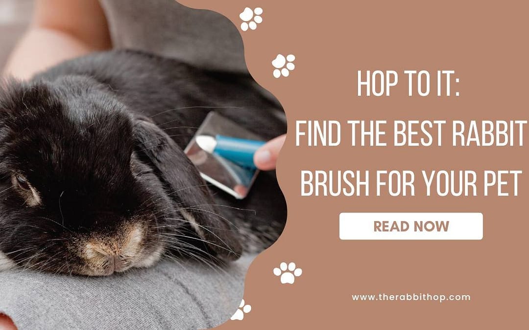 Title-Hop to It Find the Best Rabbit Brush for Your Pet