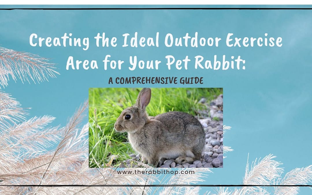 Creating the Ideal Outdoor Exercise Area for Your Pet Rabbit: A Comprehensive Guide