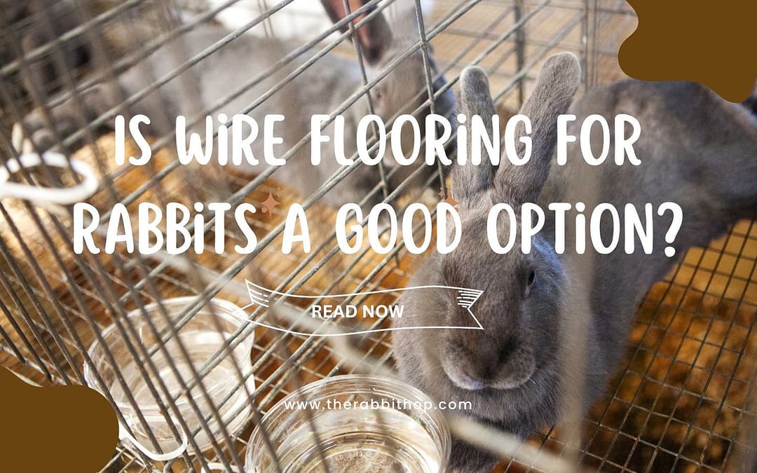 Is Wire Flooring for Rabbits A Good Option?