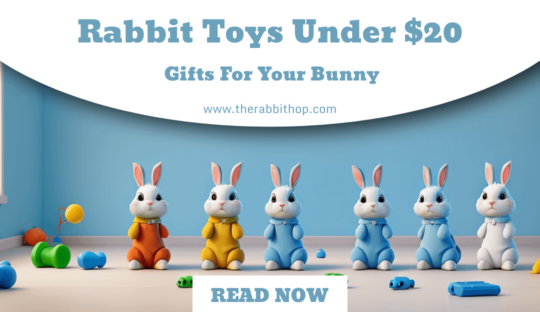 Rabbit Toys Under $20: Gifts For Your Bunny