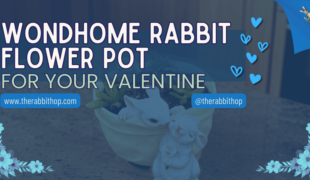 WONDHOME Rabbit Flower Pot for your Valentine