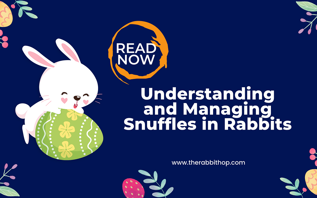 Understanding and Managing Snuffles in Rabbits