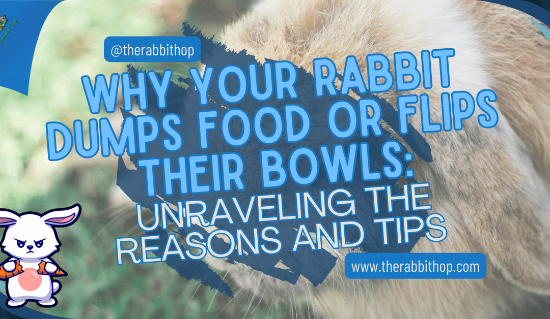 Why Your Rabbit Dumps Food or Flips Their Bowls: Unraveling the Reasons and Tips