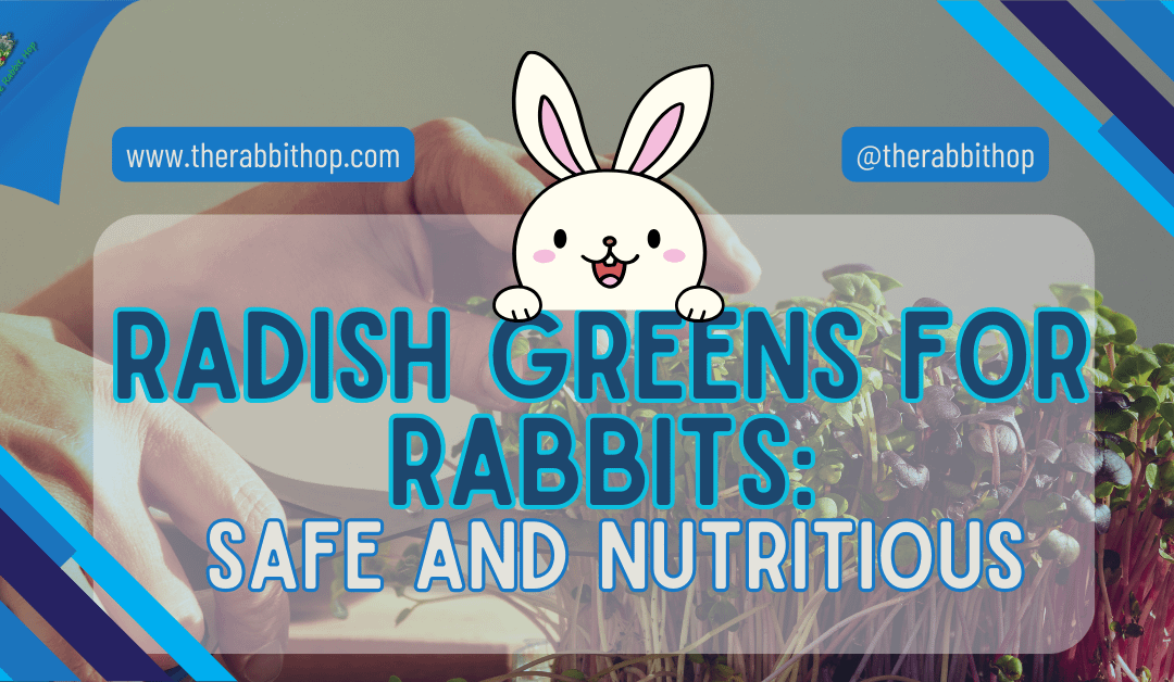 Radish Greens for Rabbits: Safe and Nutritious