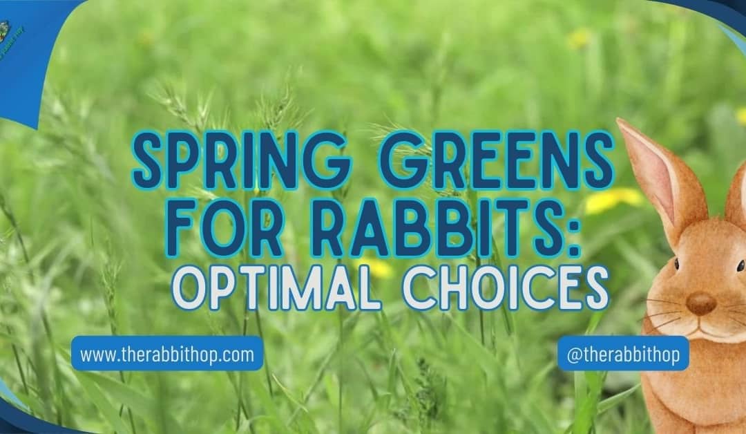 Spring Greens for Rabbits: Optimal Choices