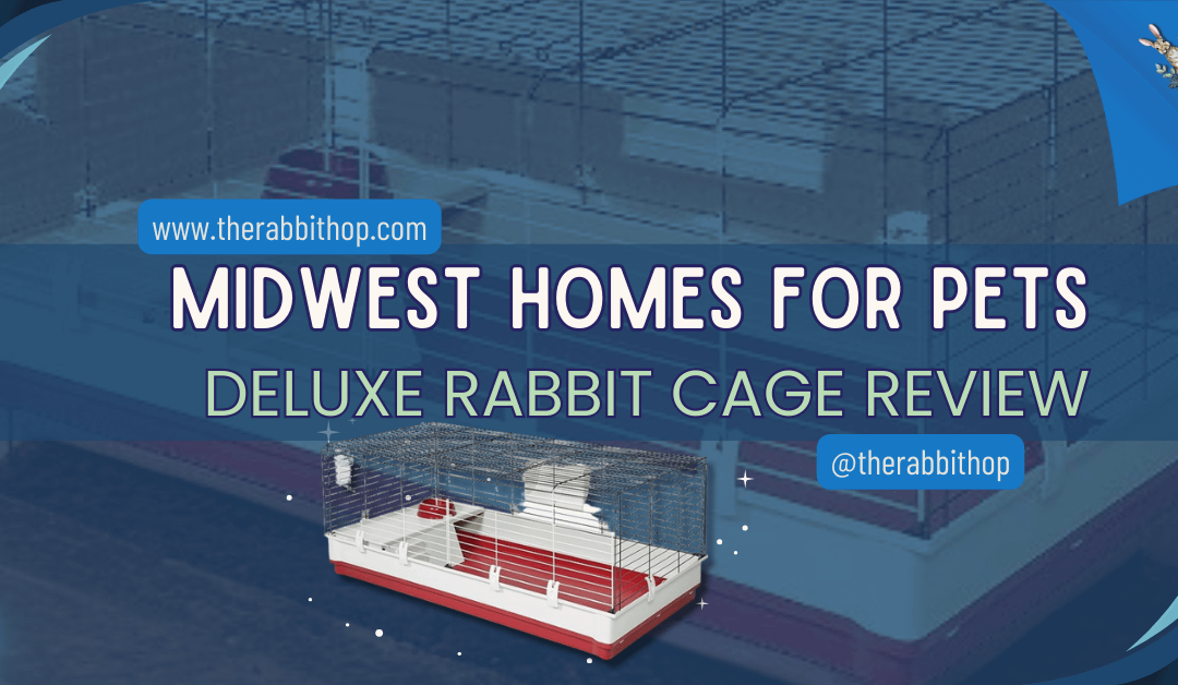 Midwest Homes for Pets Deluxe Rabbit Cage Review
