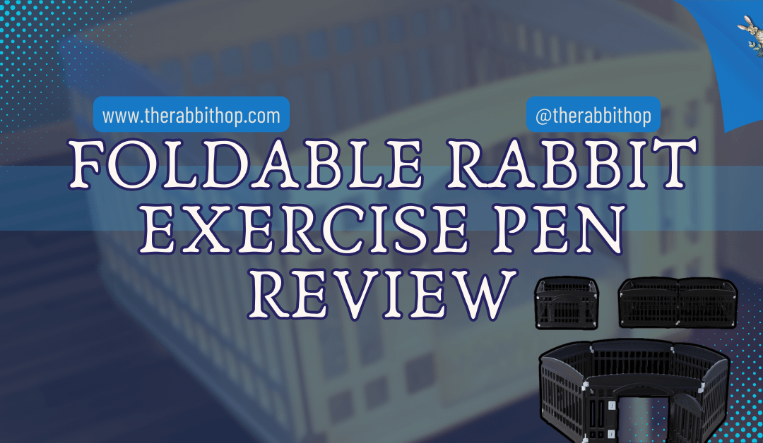 Foldable Rabbit Exercise Pen Review