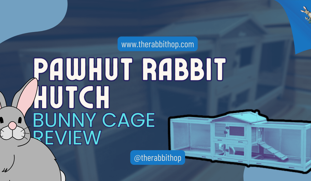 PawHut Rabbit Hutch Bunny Cage Review