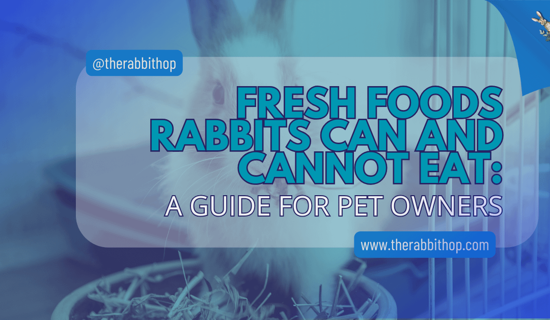 Fresh Foods Rabbits Can And Cannot Eat: A Guide for Pet Owners