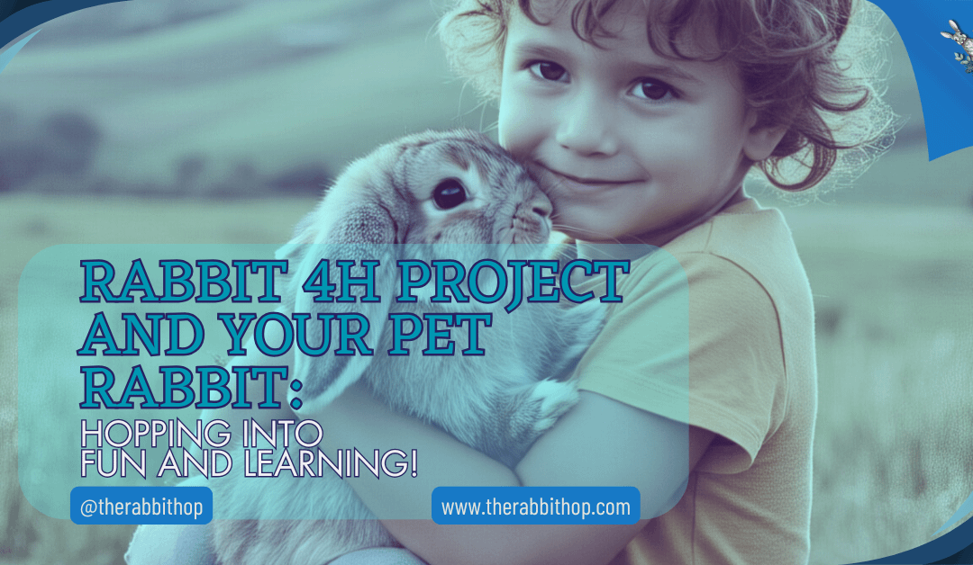 Rabbit 4H Project And Your Pet Rabbit: Hopping Into Fun And Learning!