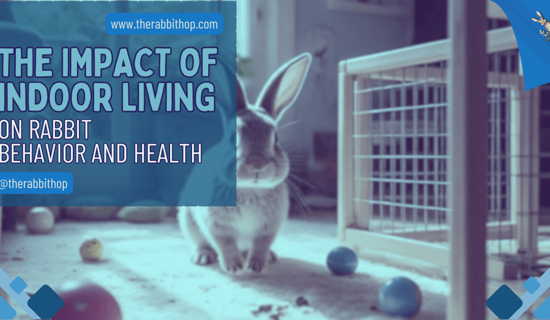 The Impact Of Indoor Living On Rabbit Behavior And Health