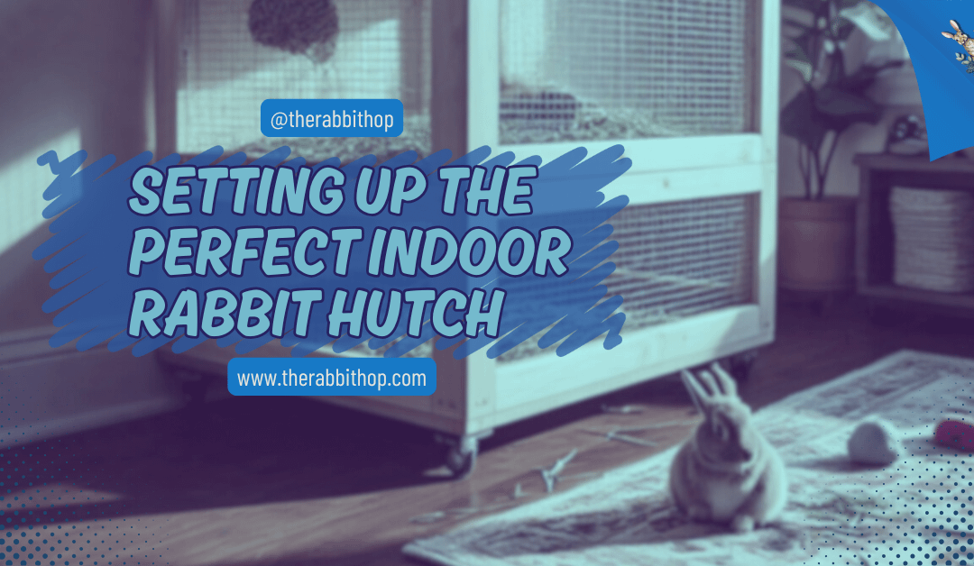 Setting Up The Perfect Indoor Rabbit Hutch