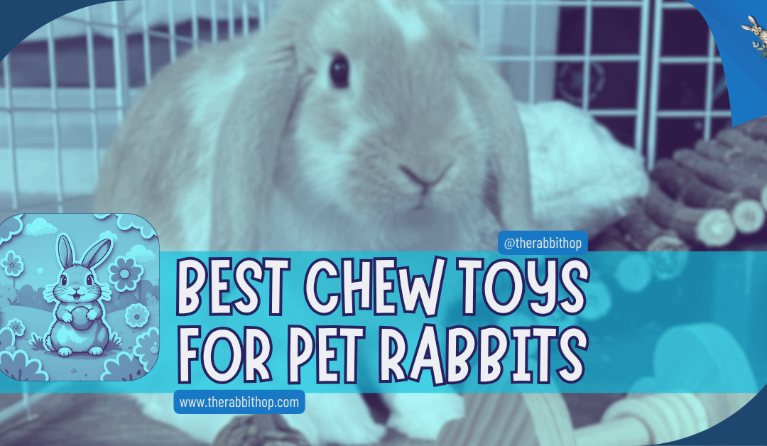 Best Chew Toys for Pet Rabbits