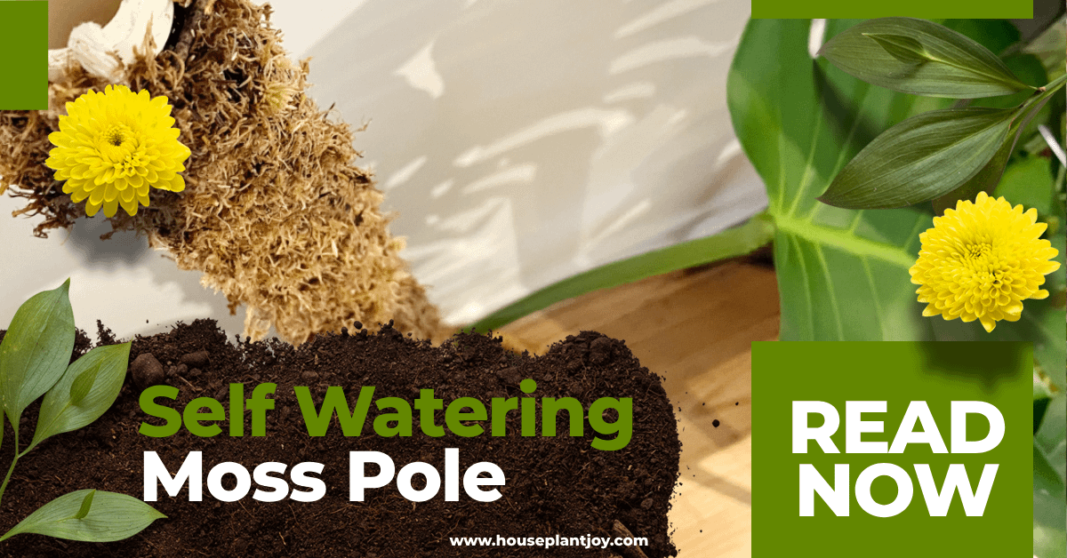 Self Watering Moss Pole