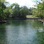 Wekiwa Springs State Park -Best nature parks in Florida