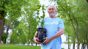 mental and physical benefit of gardening