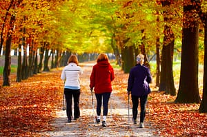 Nordic Walking Trails