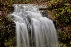 Hiking Trails in Florida With Waterfalls-