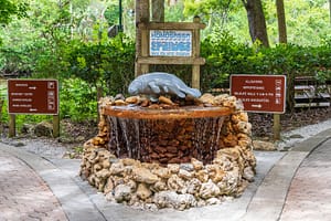 Ellie Schiller Homosassa Springs - Best nature parks in Florida