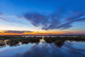 Best nature parks in Florida