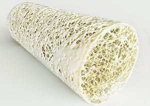 osteoporosis causes falls