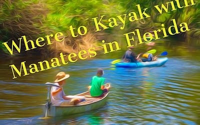 where to kayak with manatees in florida