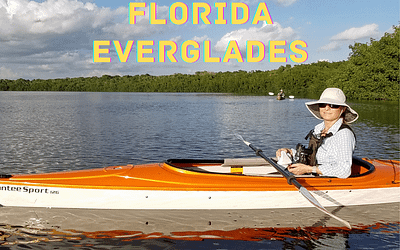 Florida Everglades Advanture