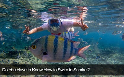 Do You Have to Know How to Swim to Snorkel?