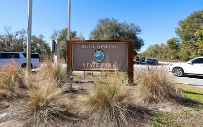 Blue Spring State Park FL