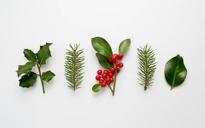 holiday decorating with houseplants