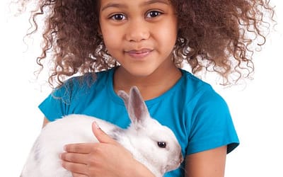 Kid holding an indoor pet rabbit