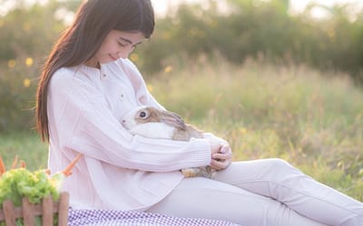 rabbit as therapy
