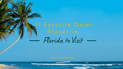 Title-11 Favorite Quiet Places in Florida to Visit