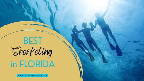 Title-Best Snorkeling in Florida