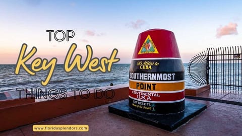 Title-Top Key West Things to Do