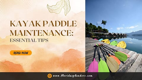 Kayak Paddle Maintenance Essential Tips