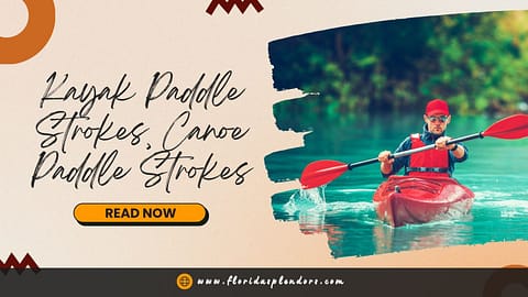 Kayak Paddle Strokes, Canoe Paddle Strokes